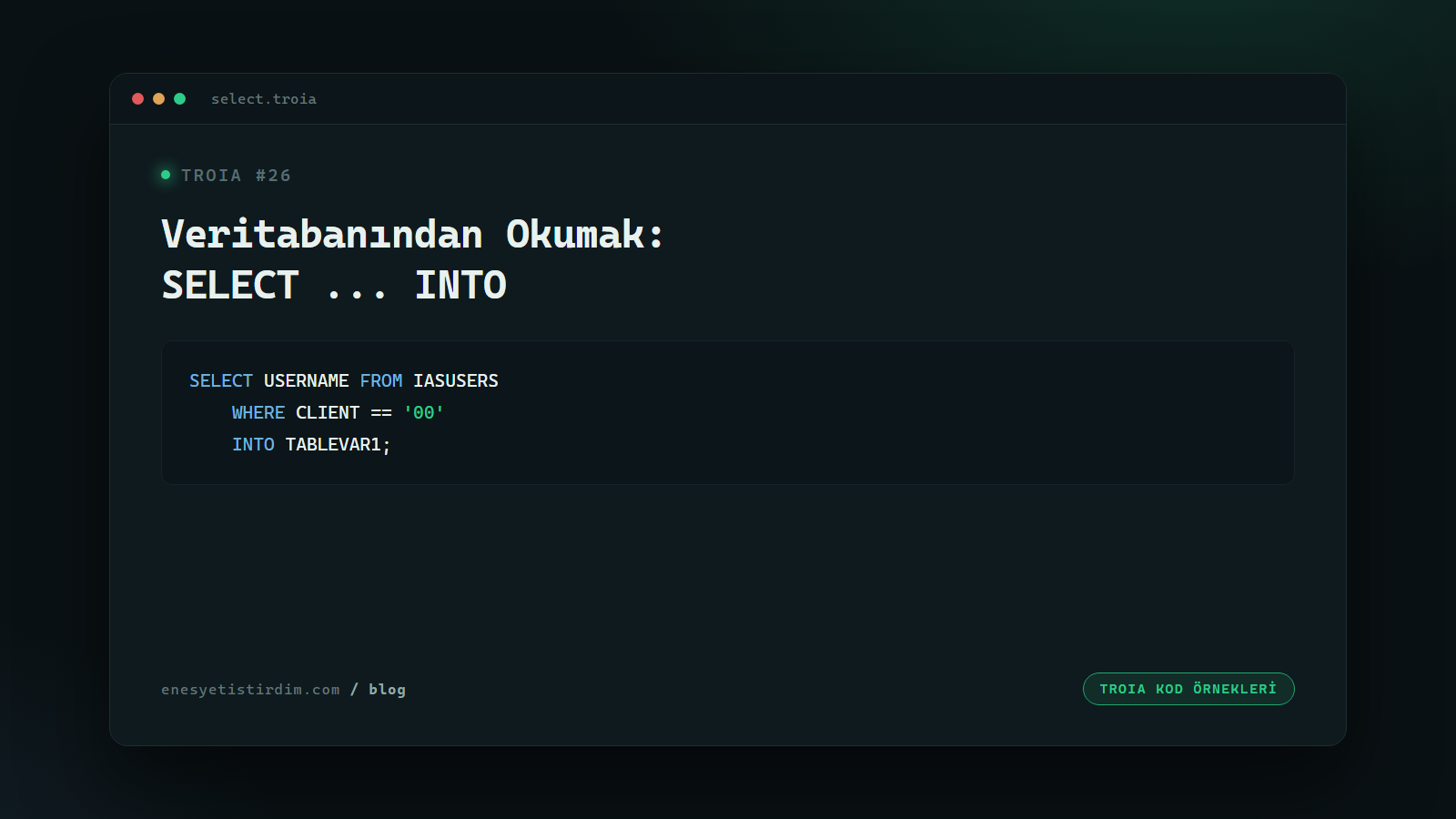 TROIA'da Veritabanından Veri Okumak: SELECT ... INTO